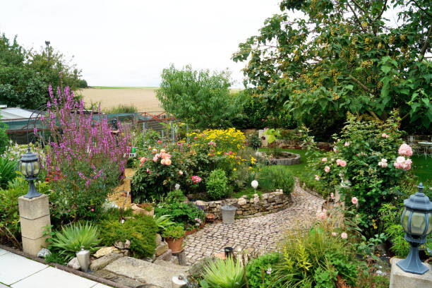 Ваш сад может так выглядеть