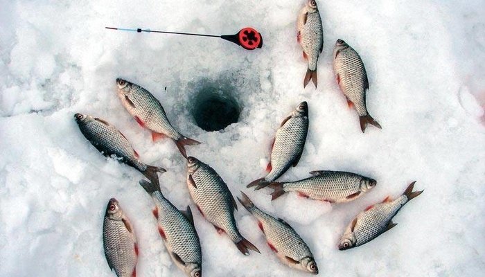 Фото взято с Яндекса.