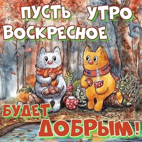 Фото из сети Интернет