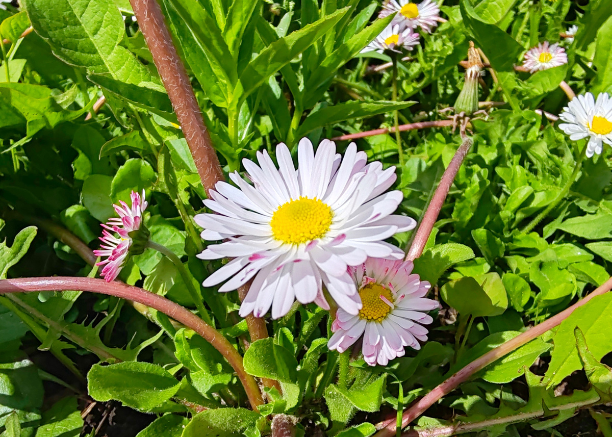 Фото автора канала. 