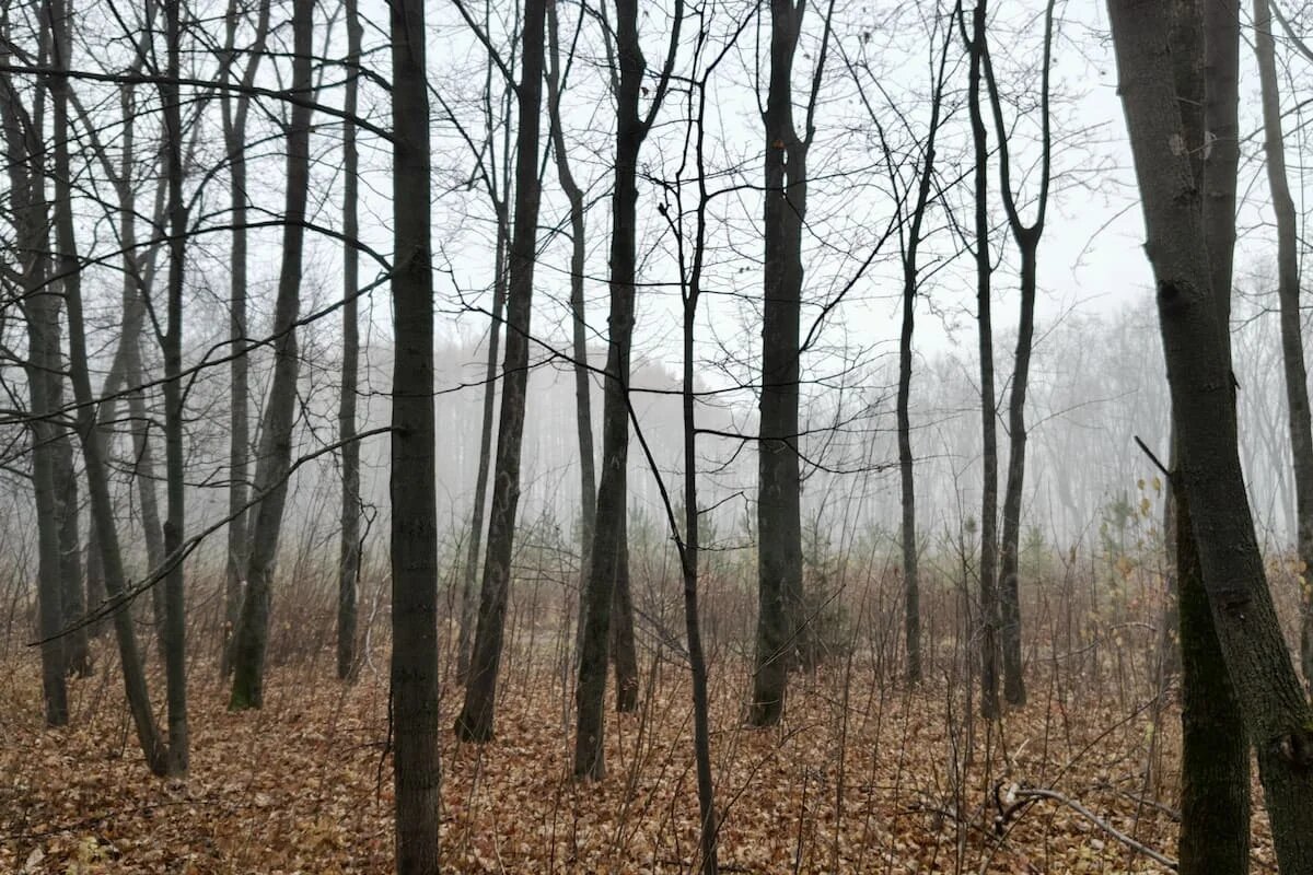 Фото: UfaTime.ru