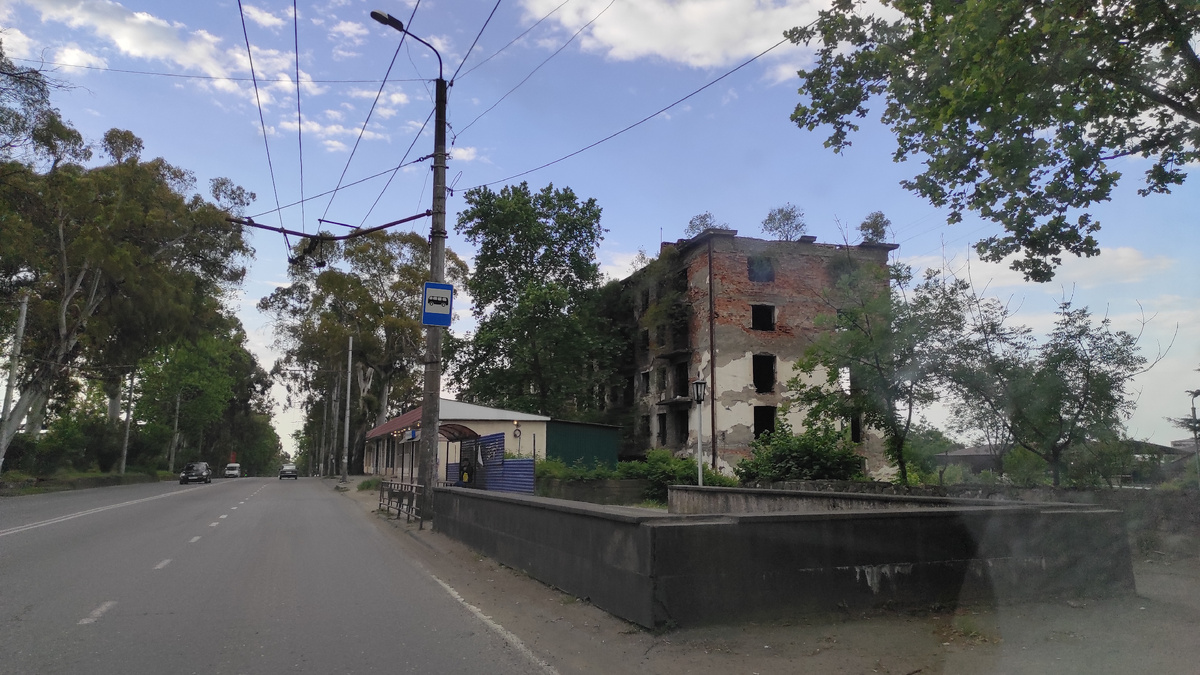 И на домах растут деревья. Фото: Кирилл Полиенко/Polienko: путешествуем вдвоём