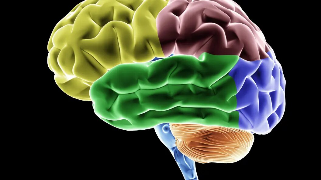    Simone Brandt/imageBROKER.com/Globallookpress