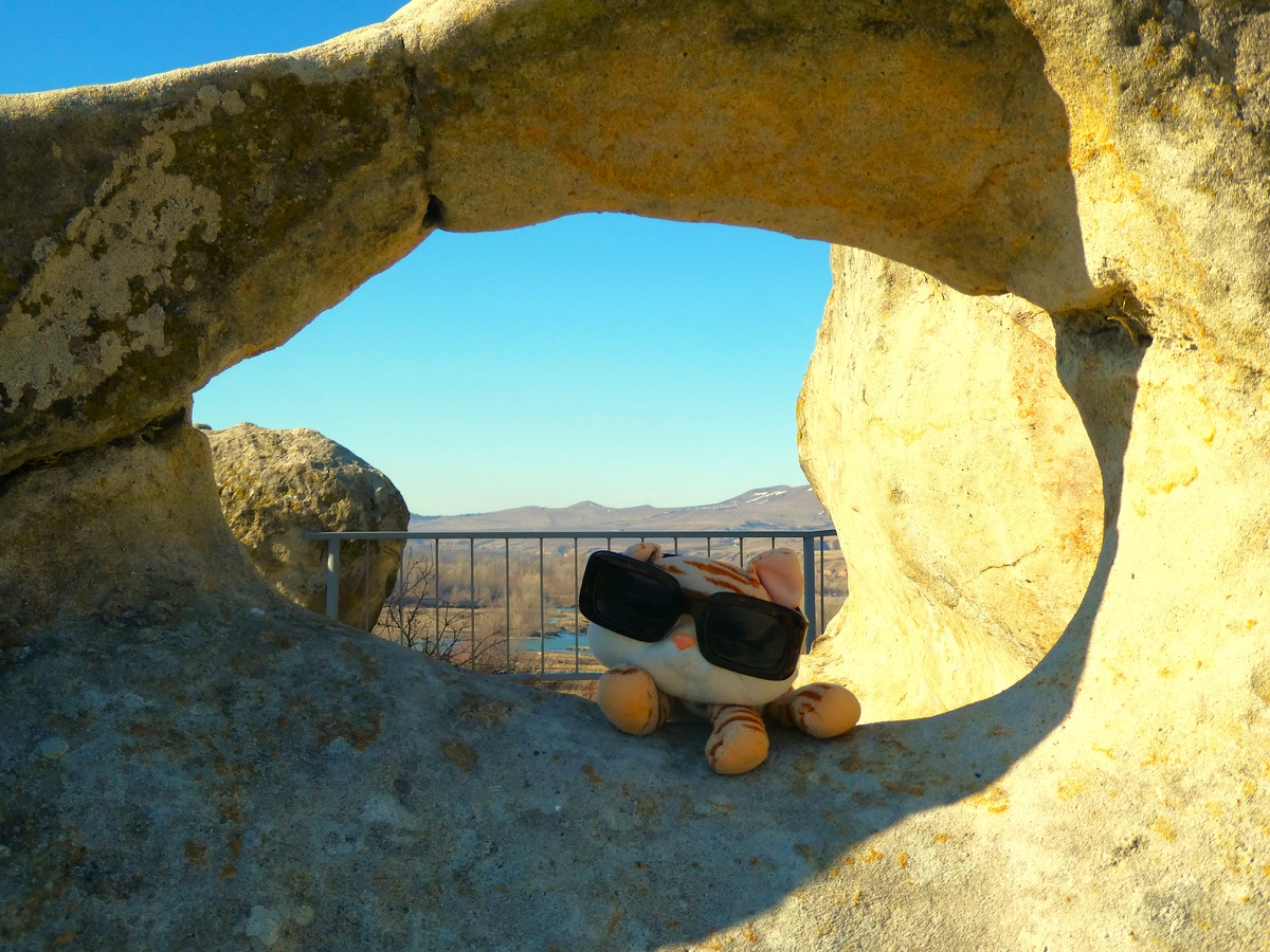 Брик, конечно, не тянет на маленькую царевну Тамару... но, думаю, выглядывала она примерно с таким же хитрым лицом.:)