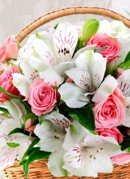 Фото из свободного доступа