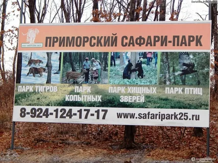 Картинка из нейросети