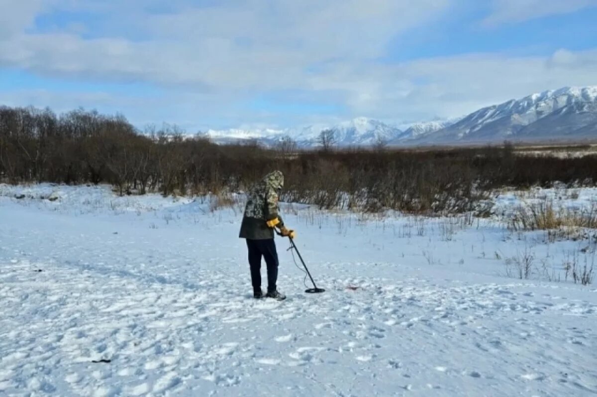    На Камчатке за год к ответственности привлекли 96 охотников