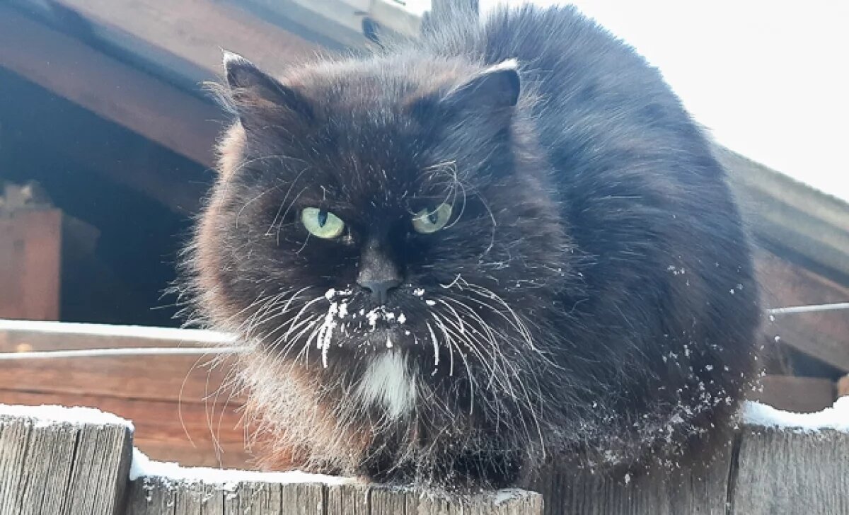    Прогноз по часам.