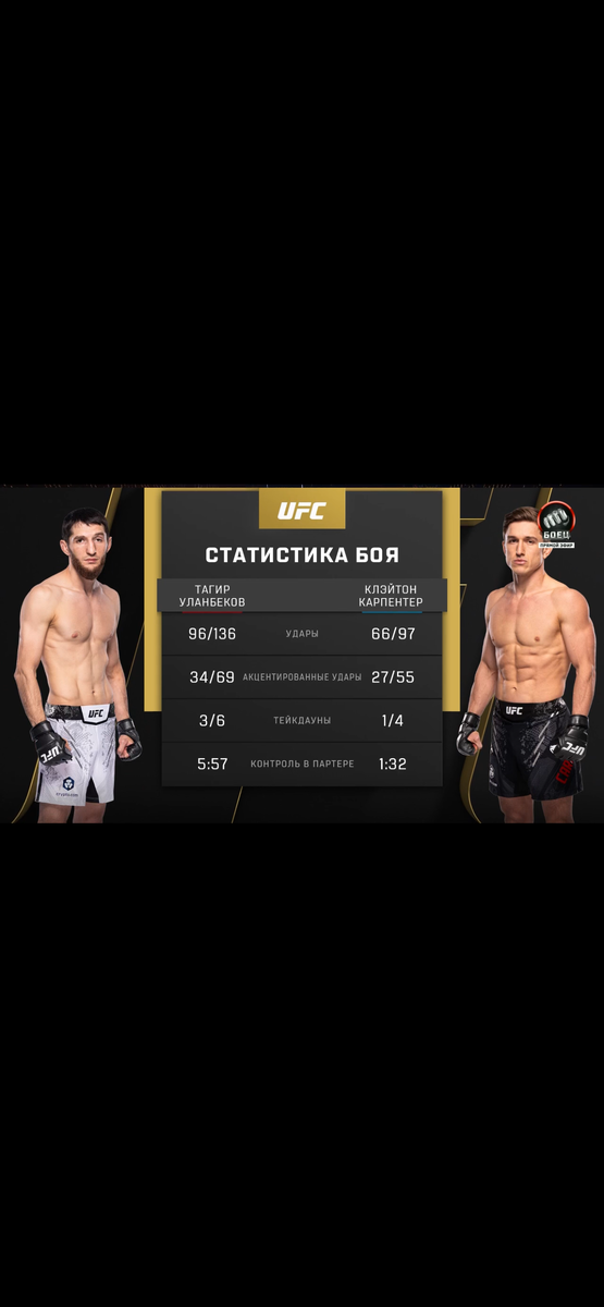 Статистика нанесенных ударов в ходе боя .