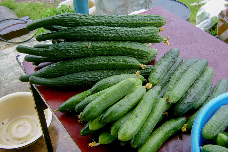    Фото Андрея Заржецкого
