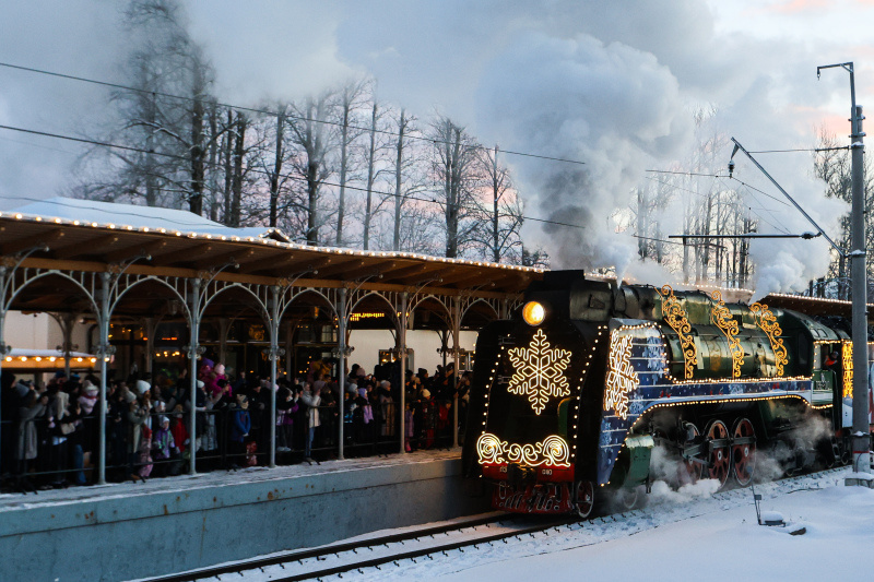    Фото: Artem Priakhin/Globallookpress