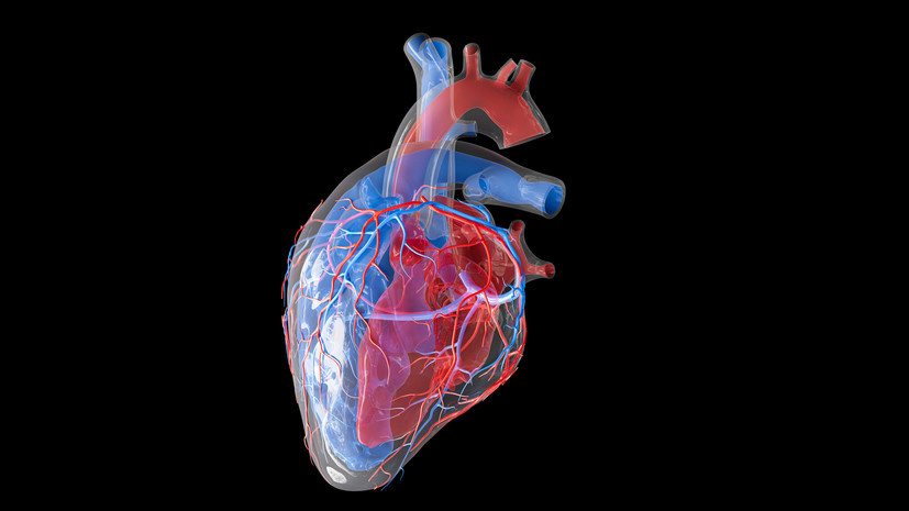   Gettyimages.ru