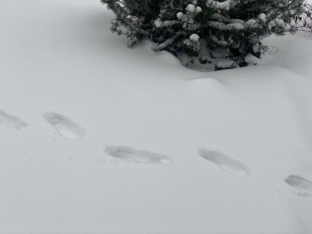    Фото: В курсе.ру Ольга Гилёва