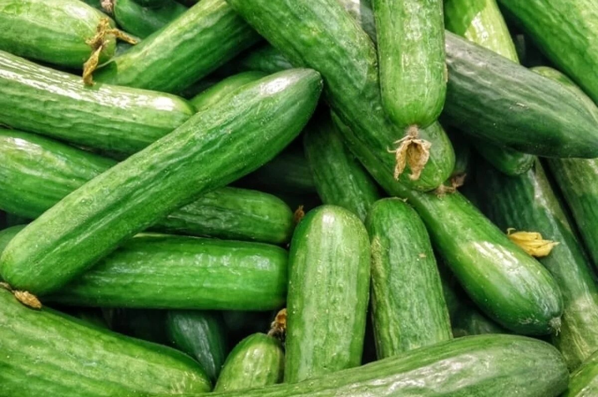    Самый подорожавший продукт в декабре-2024 в Новосибирске — огурцы