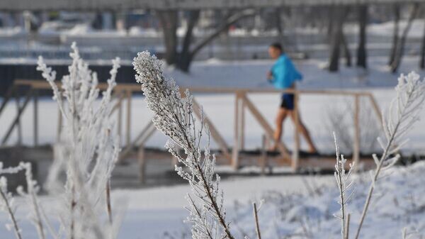    © Sputnik / Виктор Толочко