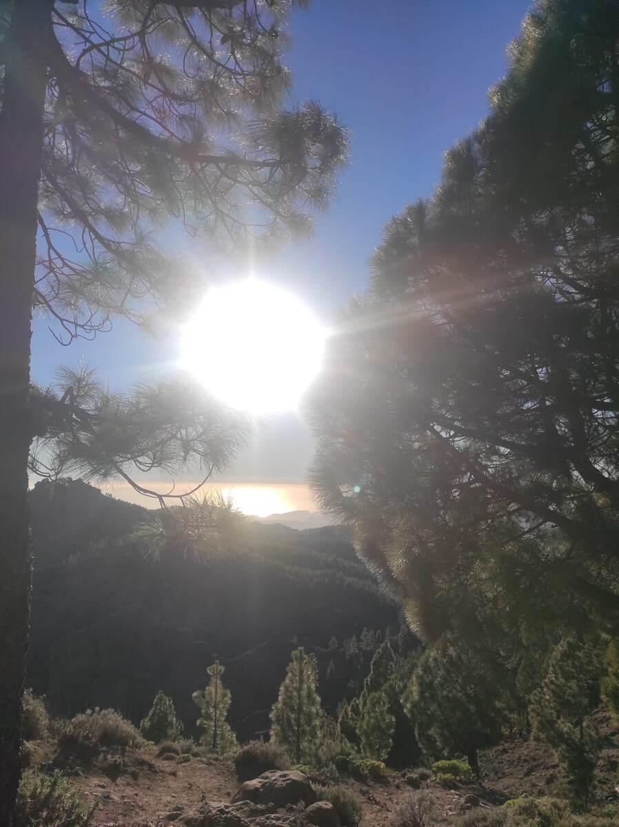 Фото из открытых источников.