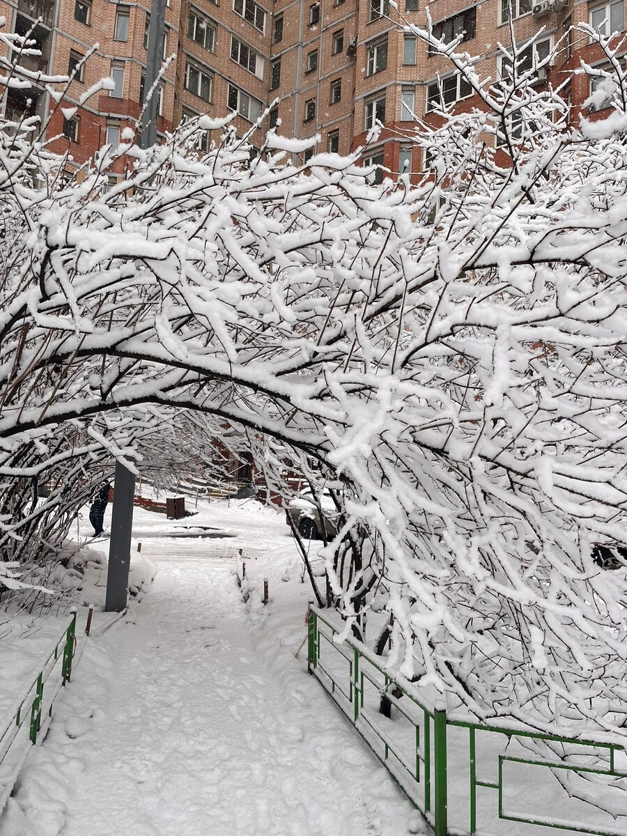 Фото из семейного архива. Январь 2025г.
