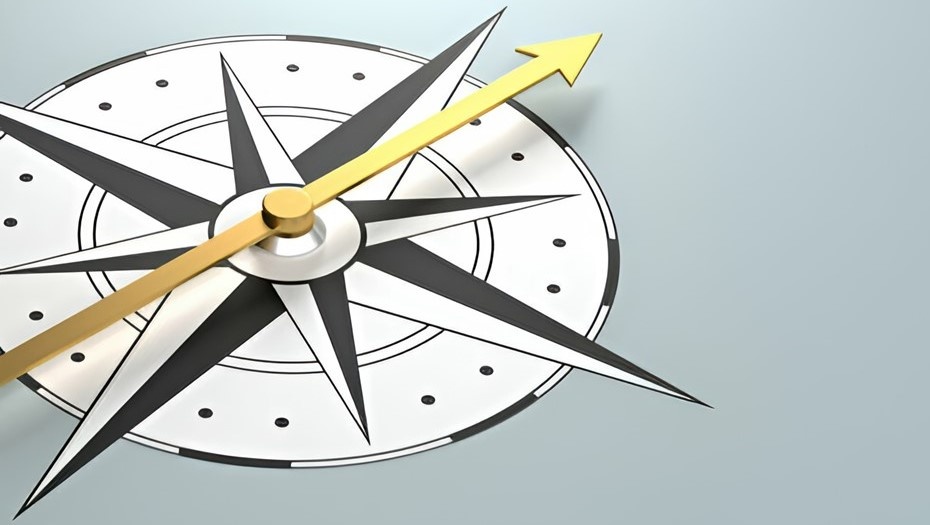    Автор фото: vostock-photo