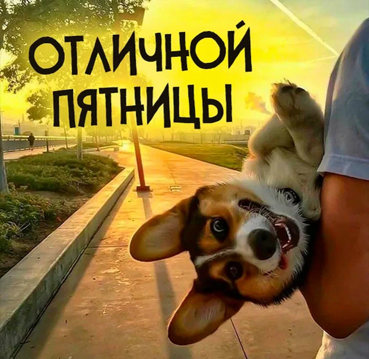 Картинка из интернета