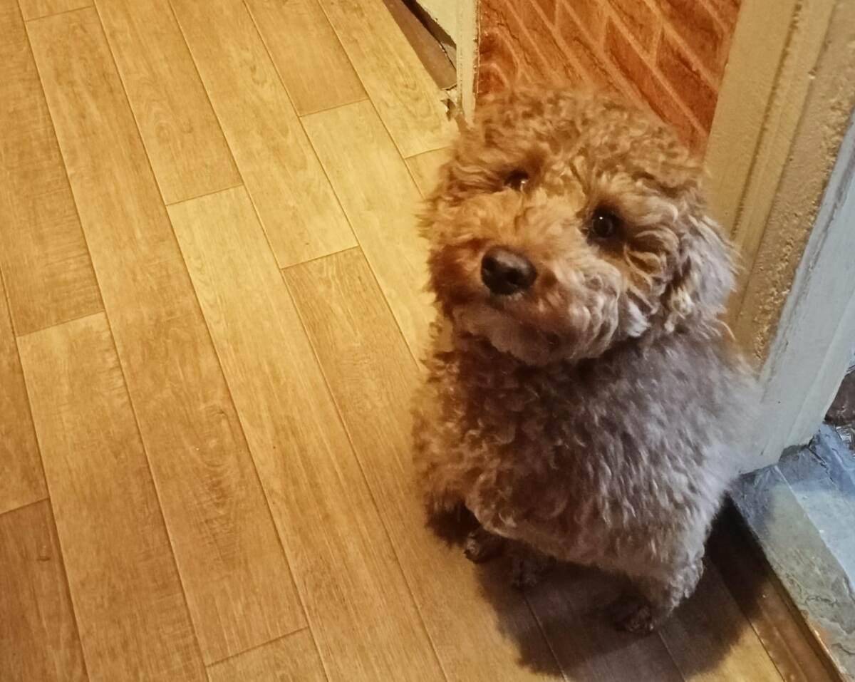 Румпель: - А ещё я красивый.