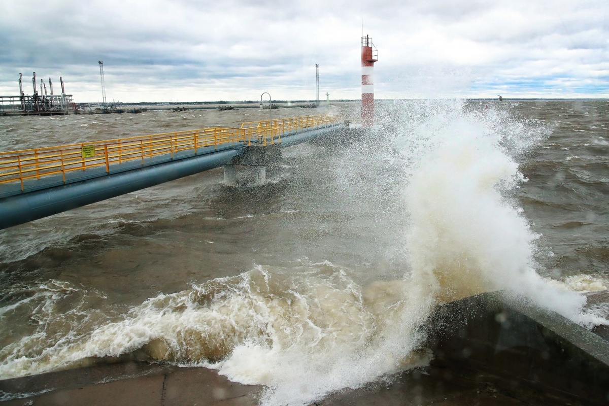    Петербургский нефтяной терминал / Источник: Gov.spb.ru