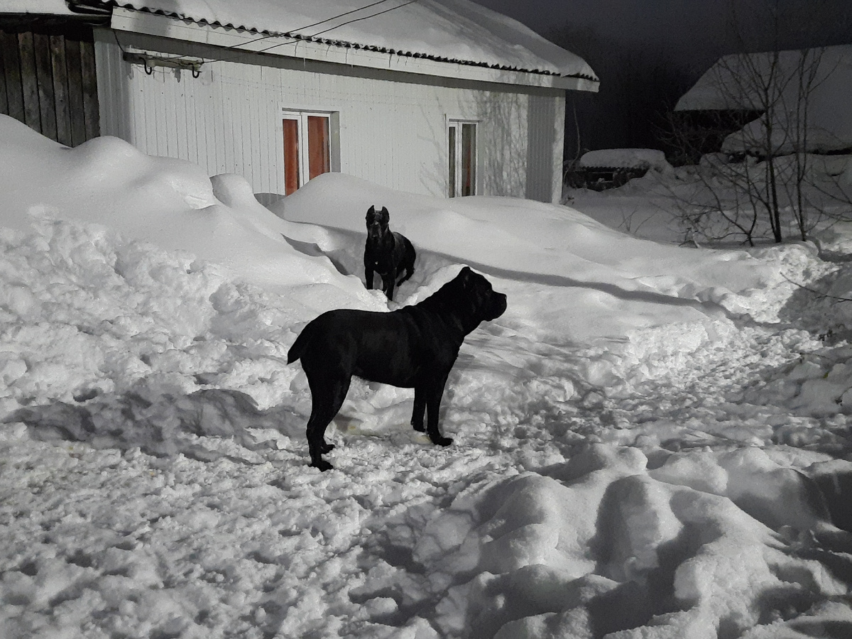 Справа на фото — крыша пустующего дома