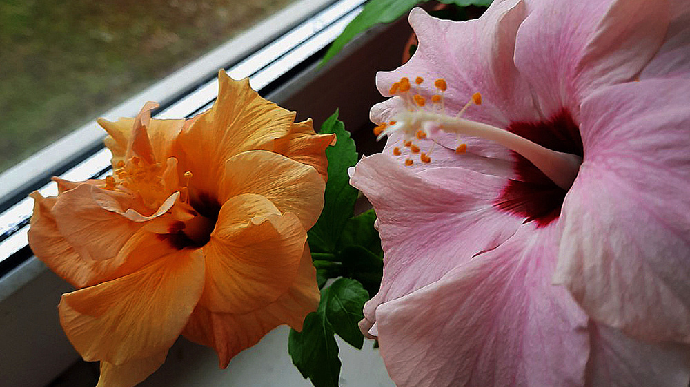 Фото:  Владимир Бикмаев