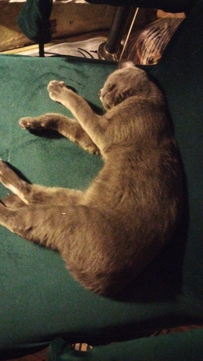 Маша отдыхает на кресле.