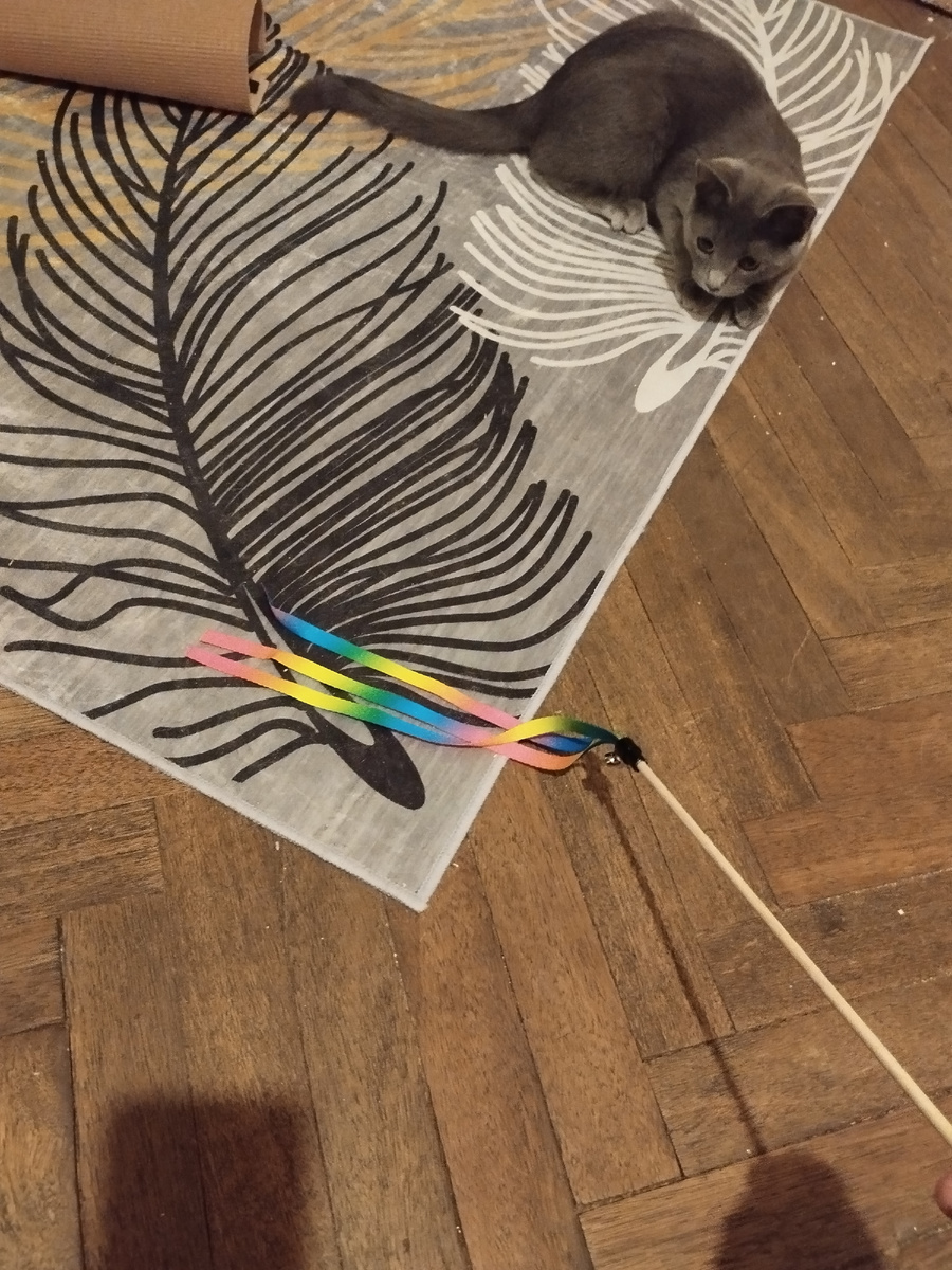 Машка охотник.