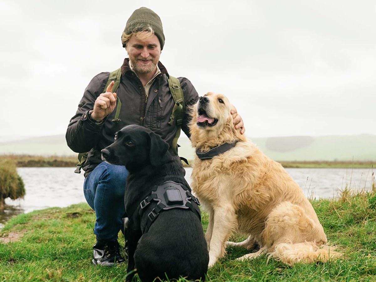    SATELLAI представила первый спутниковый трекер для собак