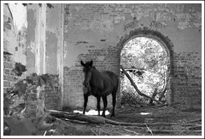 Храм Святителя Николая Чудотворца в Никольском