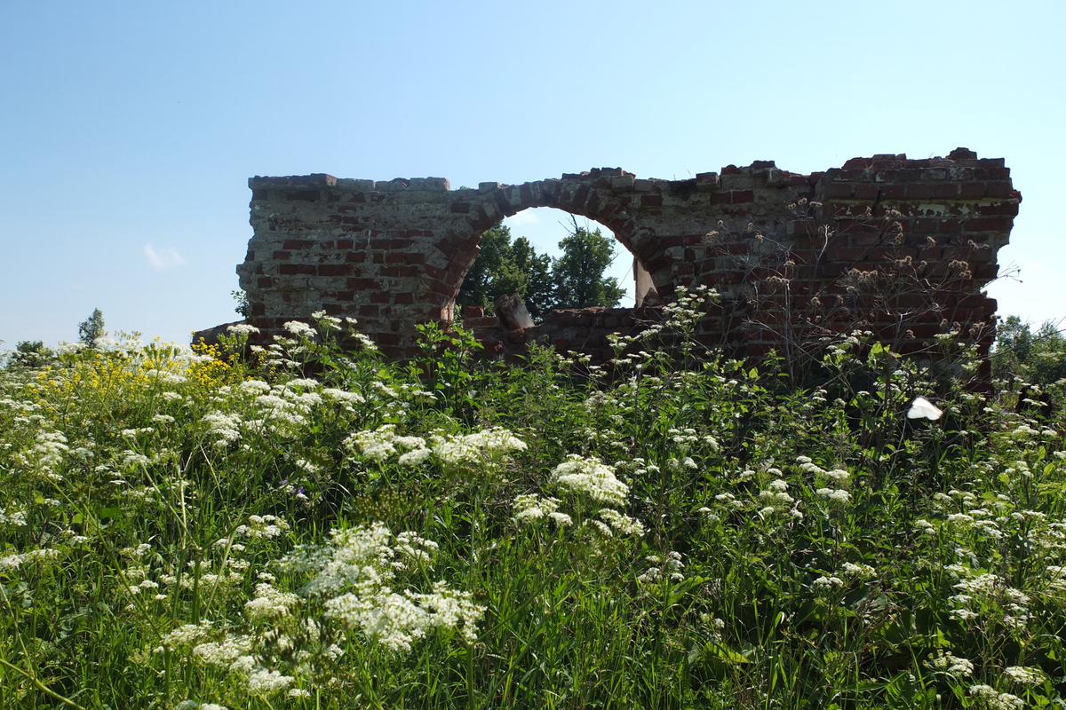 Все что осталось от имения моих предков Покровское