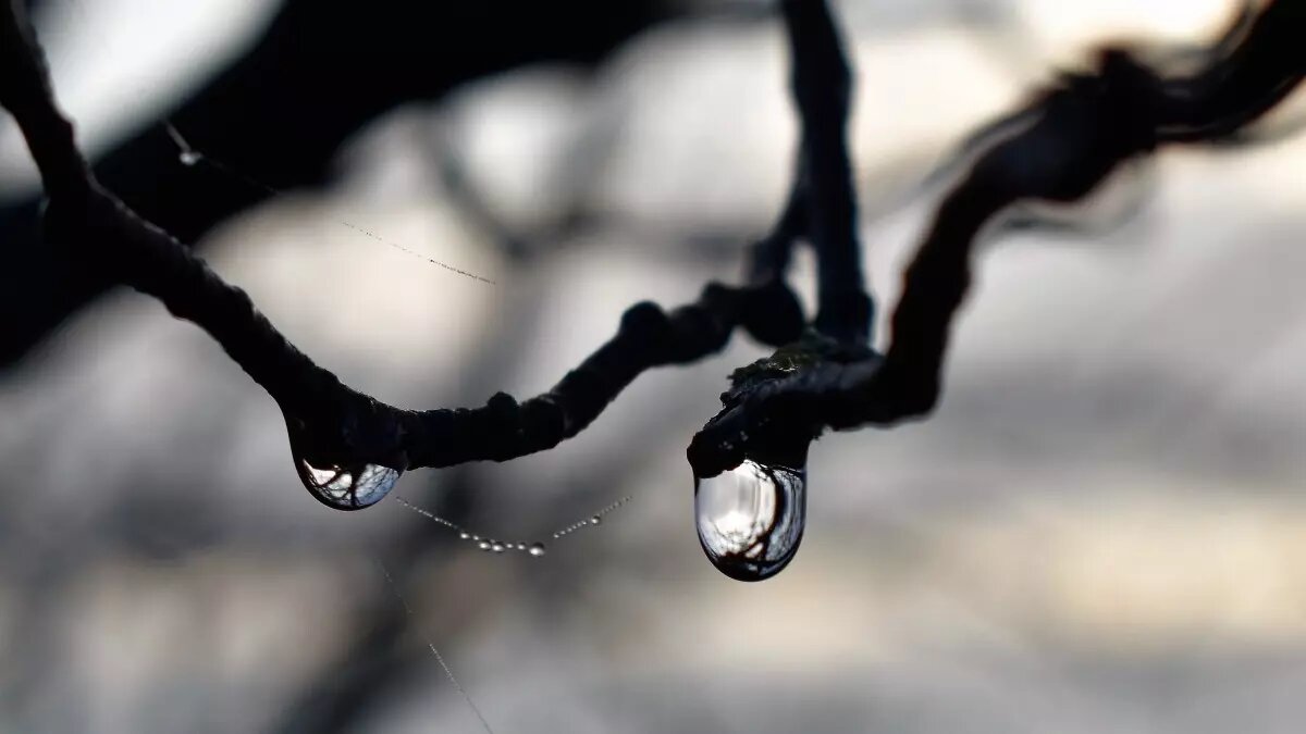     Источник: pxhere.com