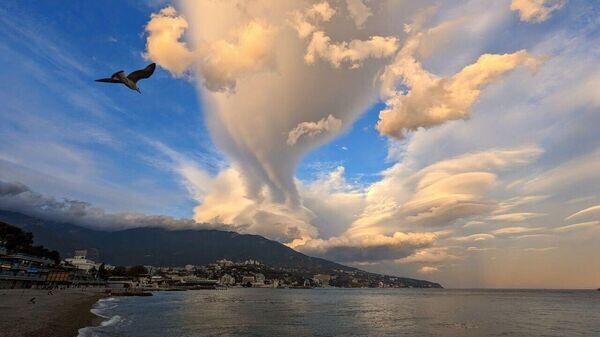    © Telegram-канал главы администрации Ялты Янины Павленко