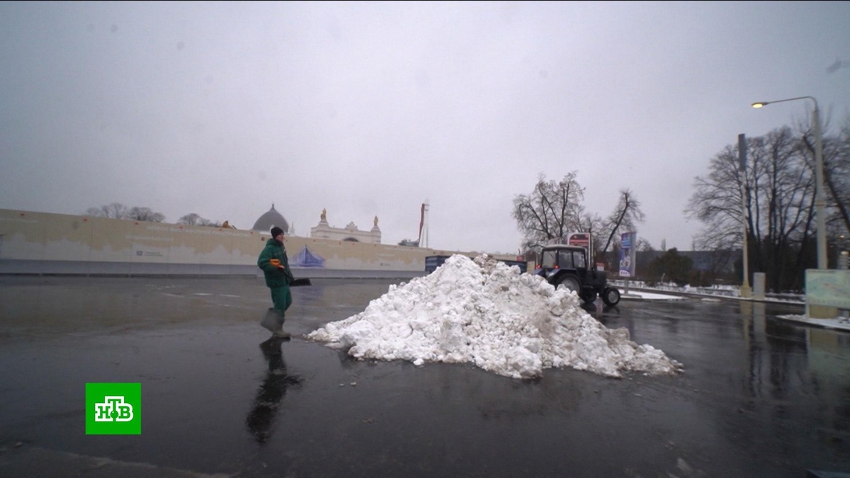    «Действительно нонсенс»: аномальное тепло зимой бьет рекорды