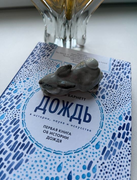 Обложка симпатичная 