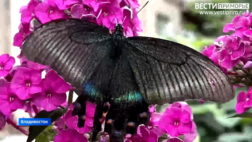    Источник фото: