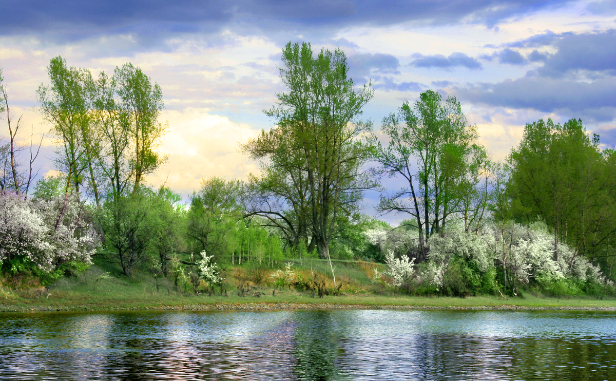 Фотография, стихотворение Василия Глуцкого