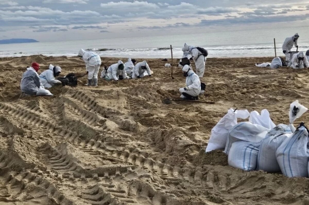    Тюменка спасает птиц на берегу Черного моря после утечки мазута