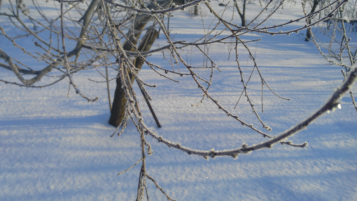 Люблю зиму. Сказочное время.