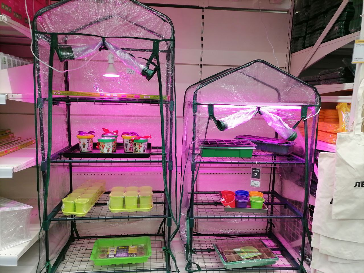 Парники в Лемана ПРО, фото автора