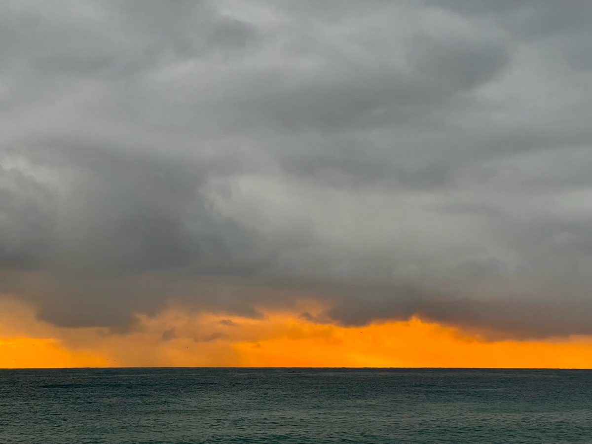 Фото: Екатерина Горшкова