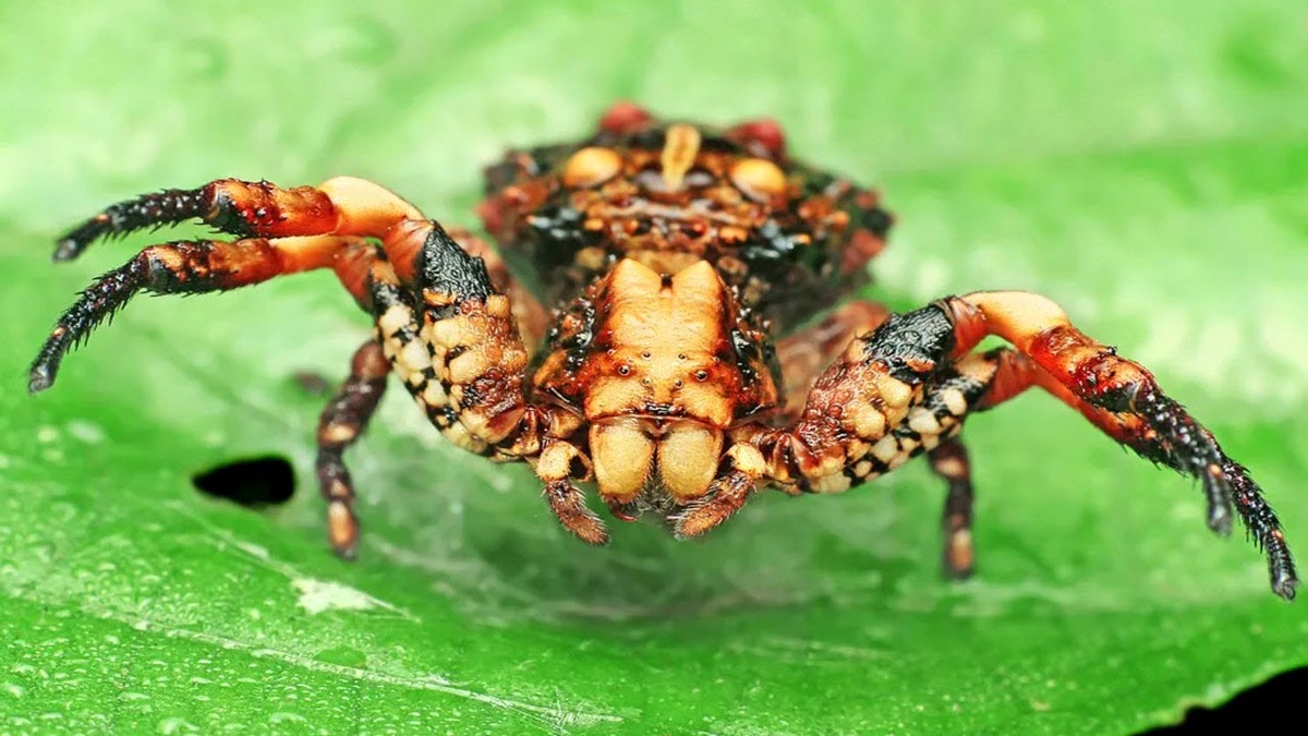 Фото из интернета 