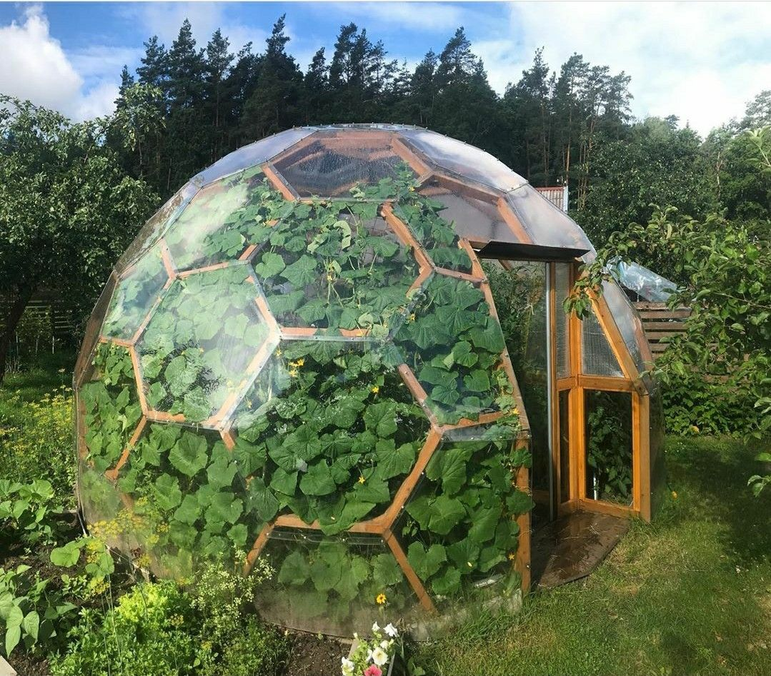 vikingdome.com