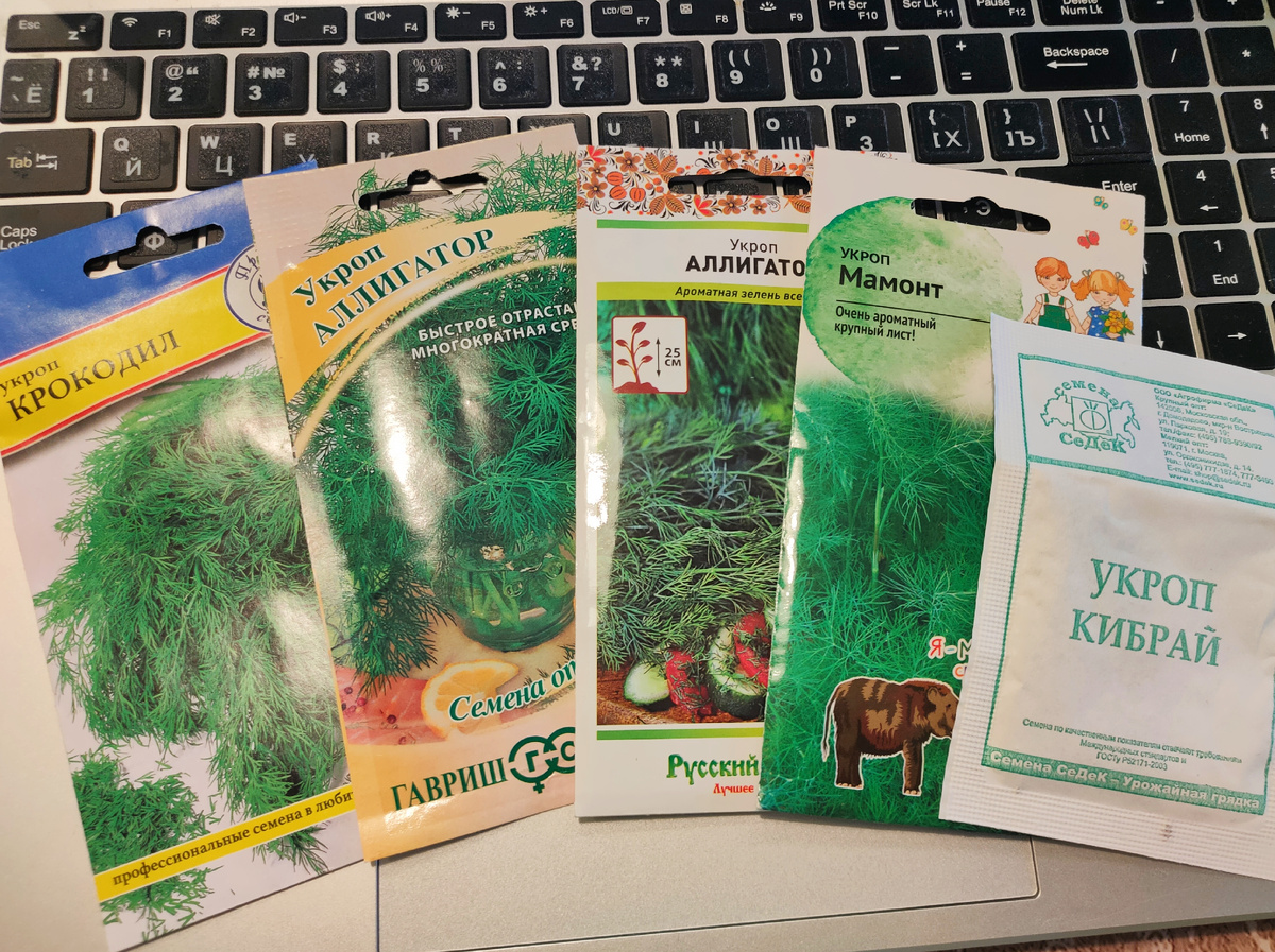 Укроп: 2 пачки Аллигатора, на пробу - Крокодил, Мамонт и Кибрай. Отзывы по ним хорошие.