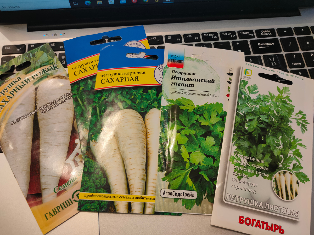 Корневая петрушка: Сахарный рожок, Сахарная, Богатырь. Плюс Итальянский гигант на зелень.