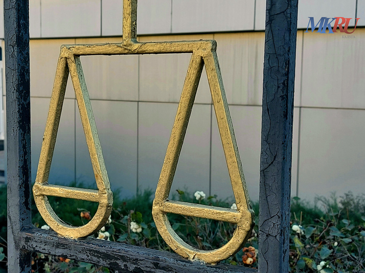     Фото: "МК в Калуге"