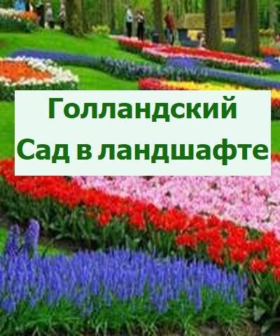 голландский сад в ландшафте