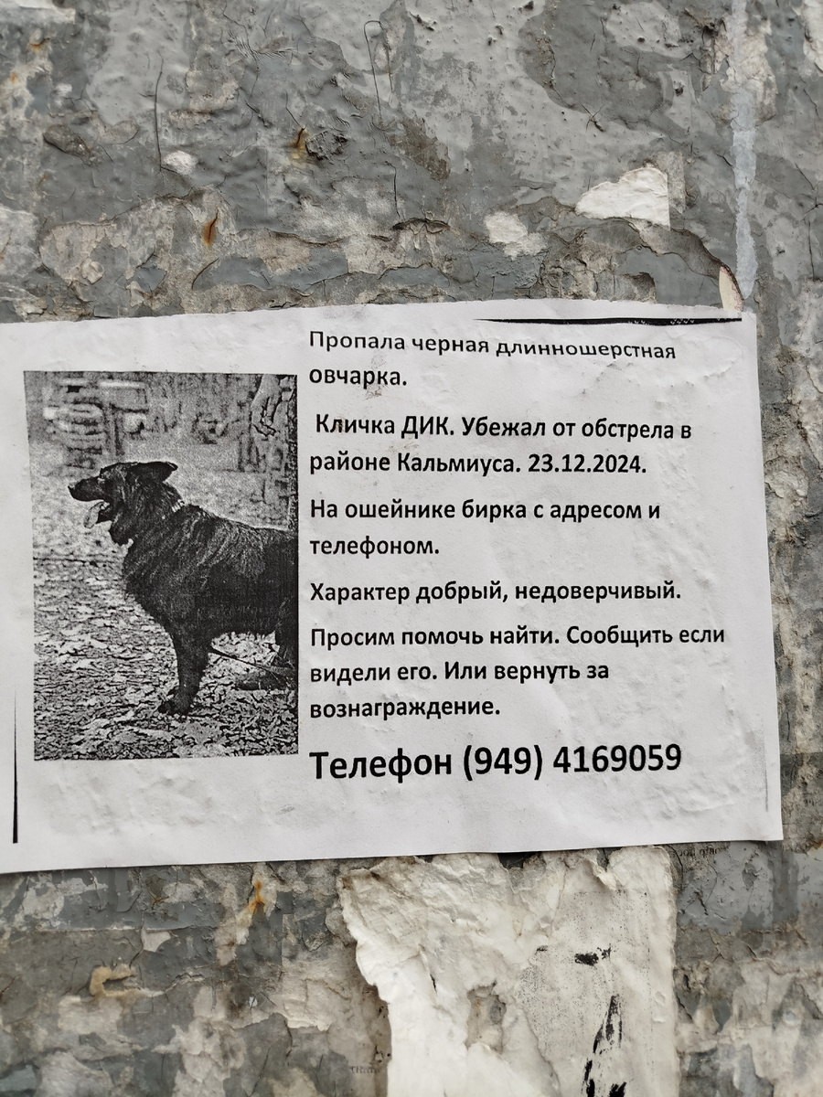 Копию этого объявления я видел ещё в конце декабря возле Дворца Спорта "Динамо" в южной части Нижнекальмиусского водохранилища. Я надеюсь, что пёсик уже дома и с ним всё хорошо!