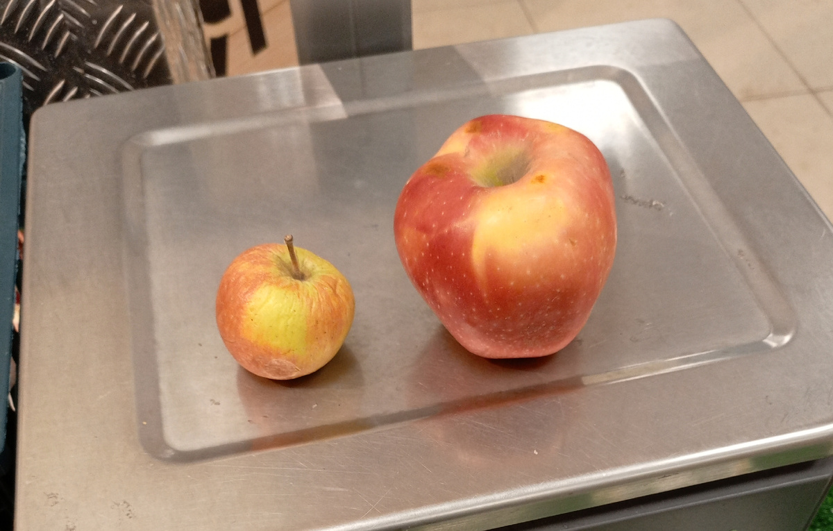 Сложный выбор